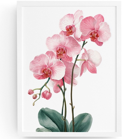 Watercolor Pink Orchids Wall Art Print Unframed - Elegant Floral Serenity - Picture 1 of 7